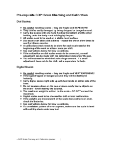 Scale Checking and Calibration - Small Scale Food Processor