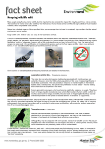 Keeping wildlife wild fact sheet