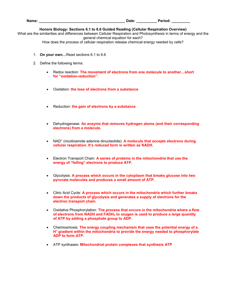 biology photosynthesis and cellular respiration worksheet answers