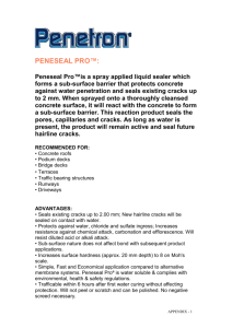 PENESEAL PRO™: Peneseal Pro™is a spray applied liquid sealer