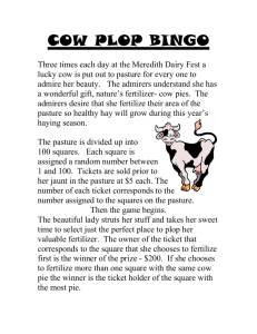 Cow Plop BIngo Rules!