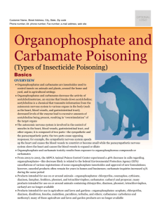 organophosphate_and_carbamate_poisoning