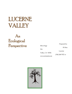 Lucerne Valley Information