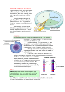 Chapter 14 - Cell division: The cell cycle