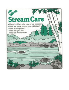 Why should we take care of our streams