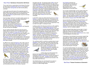 Waterlink Way Bird leaflet