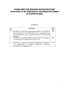 guidelines for minimum infrastructure facilities to be created by the
