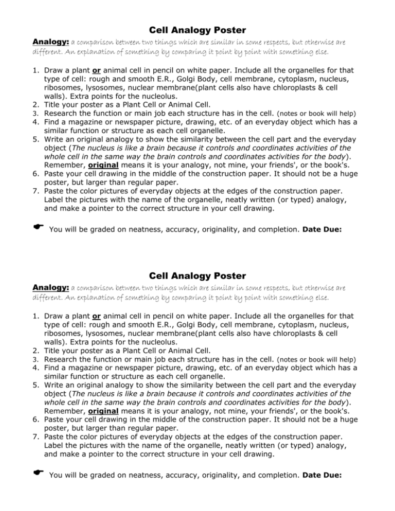 cell analogy essay