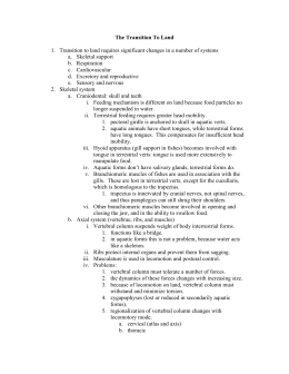 Similarities and Difference Between Aquatic & Terrestrial