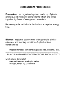 ecosystem processes