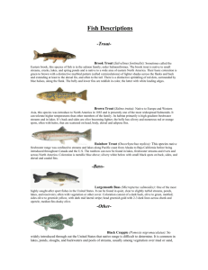 Fish Descriptions - Otsego County Soil and Water Conservation