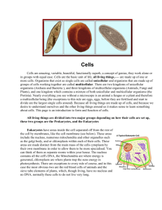 Cells Reading