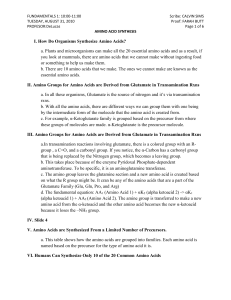 Amino Acid Synthesis