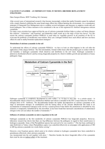 Metabolism of calcium cyanamide in the soil