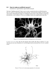 Picture 2.12. Some of the more often used neuron`s