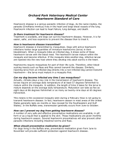 Heartworm Standard of Care - Orchard Park Veterinary Medical Center