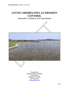 Alternative - Florida Living Shorelines