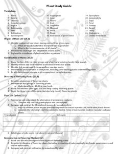Plant Study Guide Vocabulary: Plant Cuticle Stomata Vascular