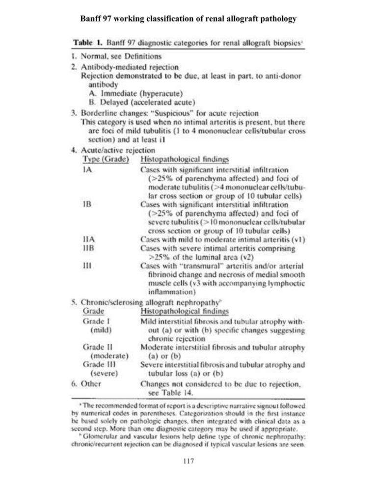 Specimen Adequacy and Lesion Scoring (Banff `97)
