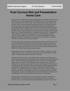 Post Cervical Slot and Fenestration Home Care