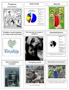 kinship and economy study cards