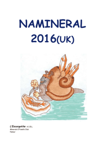 Agreement "NAMINERAL"