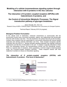 Modeling of a cellular transmembrane signaling system through