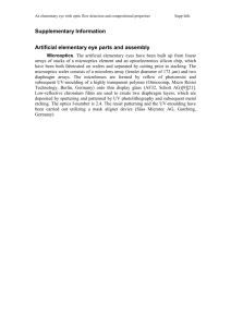 An elementary eye with optic flow detection and compositional