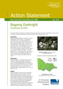 Bogong Eyebright (Euphrasia eichleri) accessible