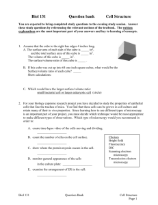 Analytical Questions 1