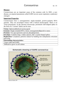 Coronavirus lec -15 Diseases Coronaviruses are an important