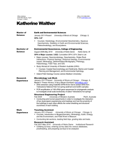 Katie Walther`s CV