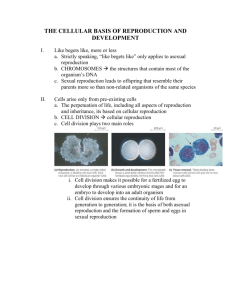 THE CELLULAR BASIS OF REPRODUCTION AND DEVELOPMENT