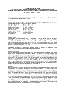 Fieldwork report from “Aquatic Warbler productivity study 2011