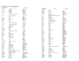 Vet Terminology Worksheets