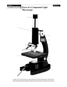 Using Microscopes
