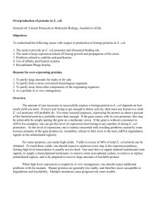 High level expression of recombinant proteins in E. coli.