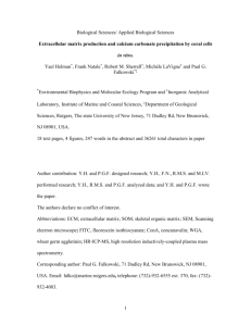 ECMcalcification paper final - Environmental Biophysics and