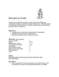 Student Handout for Observation of a Candle lab