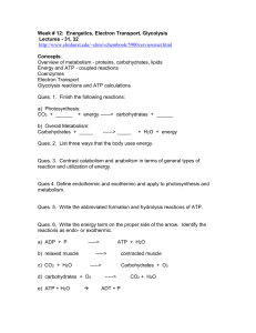 Week # 12 Homework doc