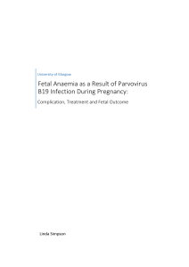 Fetal Anaemia as a Result of Parvovirus B19 Infection