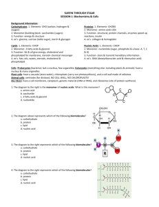 1- Biomolecules-Teacher Key