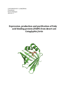 Expression, production and purification of Fatty acid binding