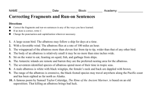 Correcting Fragments and Run-on Sentences