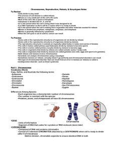 Chromosomes, Reproduction, Meiosis, & Karyotypes
