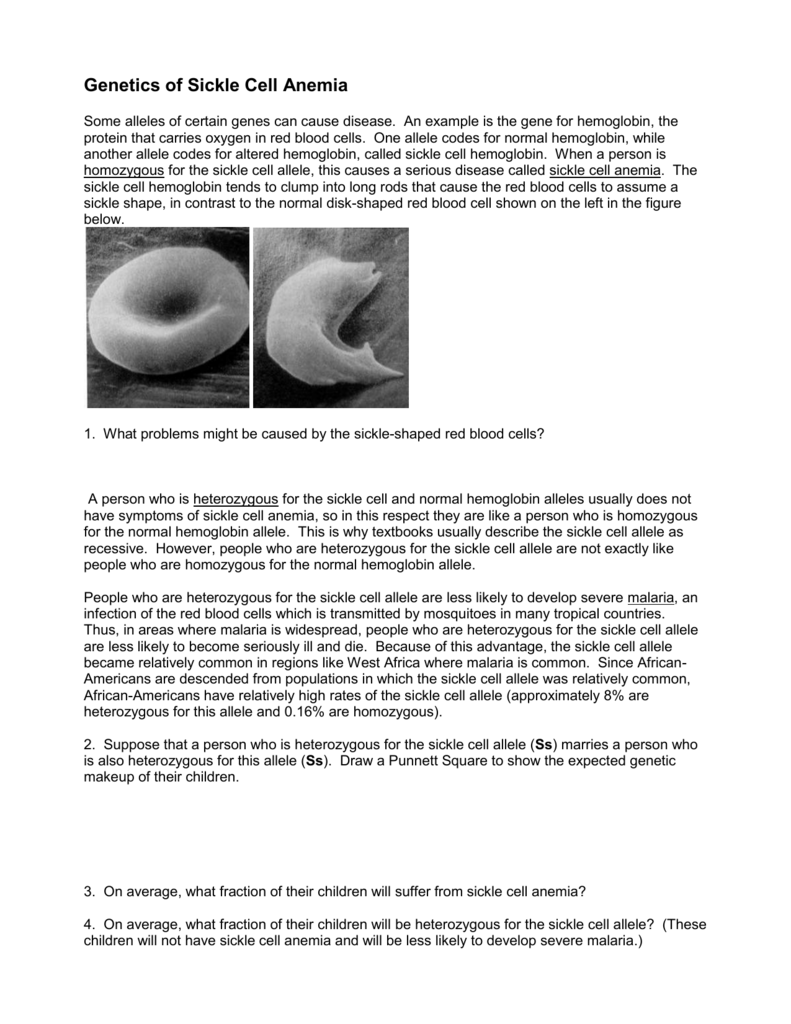 genetics-of-sickle-cell-anemia