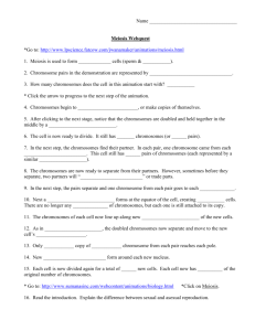 Meiosis WEb Quest