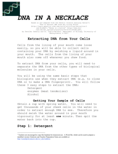 DNA IN A NECKLACE - Bioinformatics Activity Bank