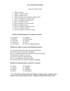 Nouns Test Study Guide