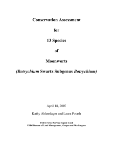 Conservation Assessment